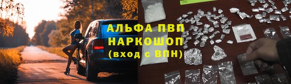 гашик Арсеньев
