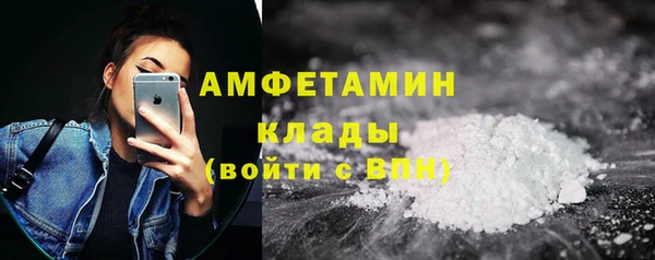 прущие грибы Армянск