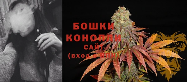 прущие грибы Армянск