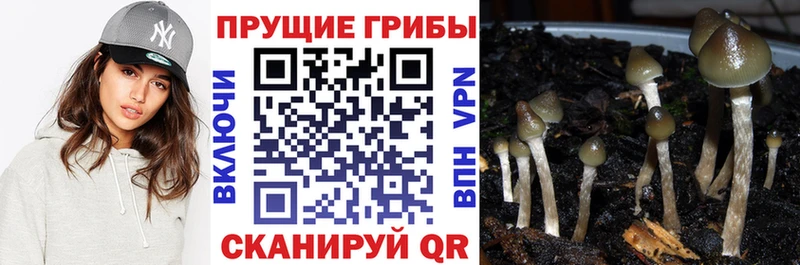 MEGA зеркало  Хилок  Псилоцибиновые грибы ЛСД 
